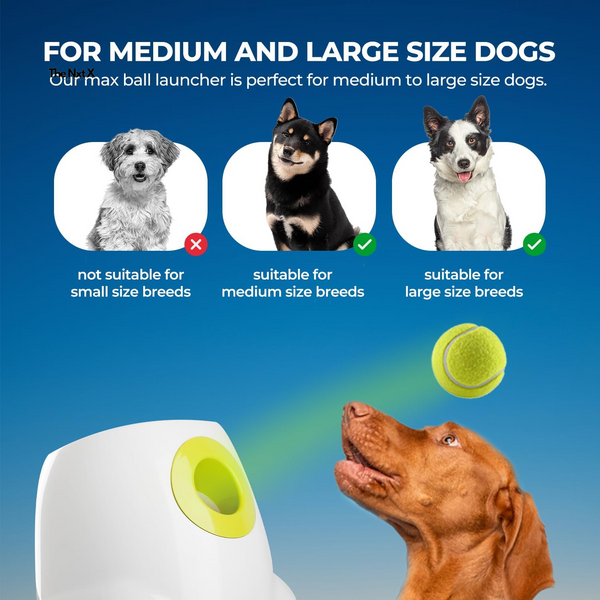 Product placeholder